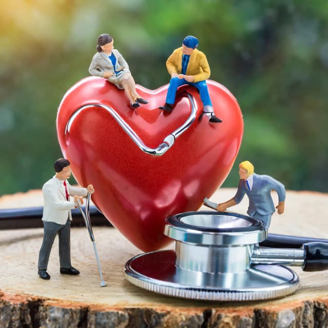 Health Sciences and Public Health