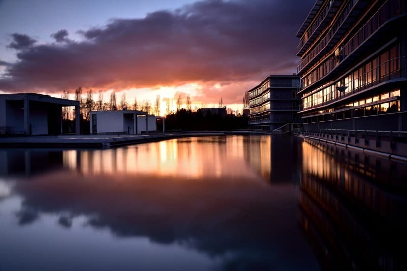 ISM University of Management and Economics